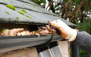 gutter cleaning Ty Fry, Monmouthshire